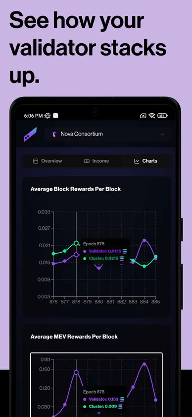 Validator Applet screenshot 5