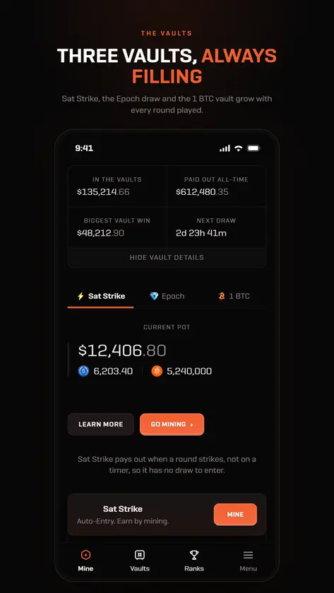 Sat Rush screenshot 2
