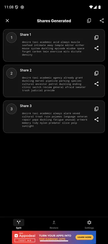 Shamir Safe screenshot 2