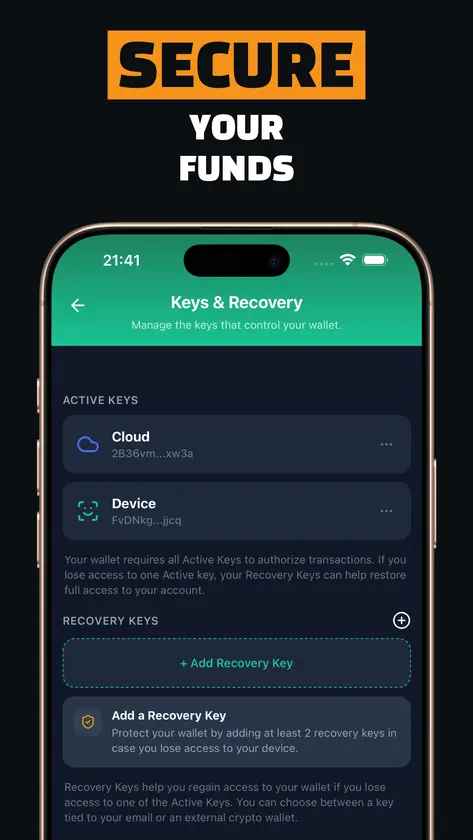 Cashflow screenshot 3