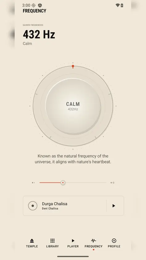 Guru Chants screenshot 3